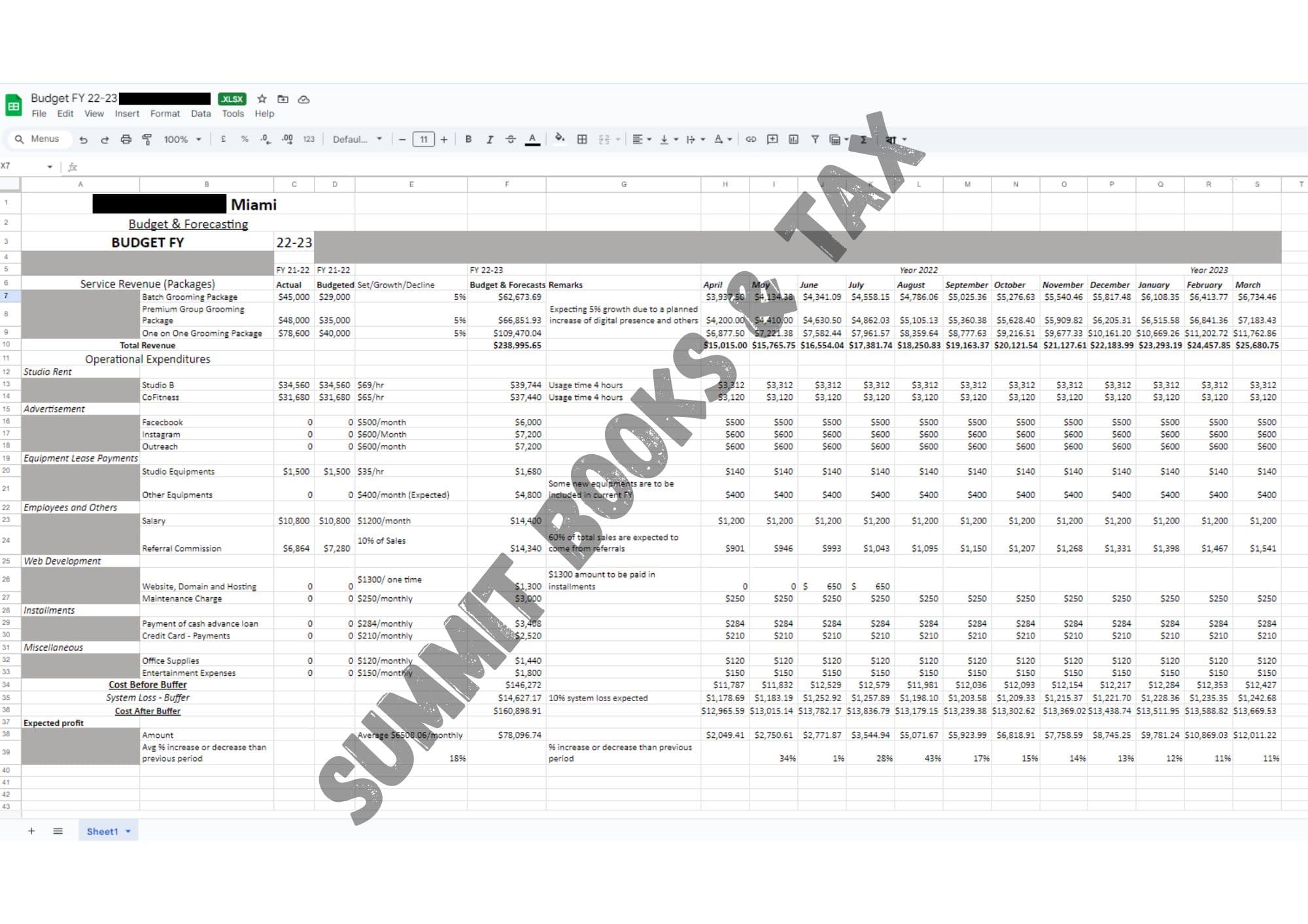 Annual Budget & Cash Flow Forecast